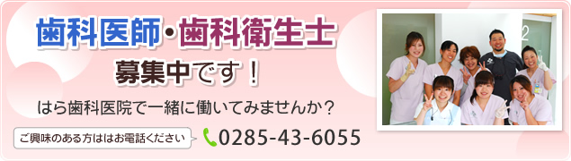 歯科医師・歯科衛生士募集中です!